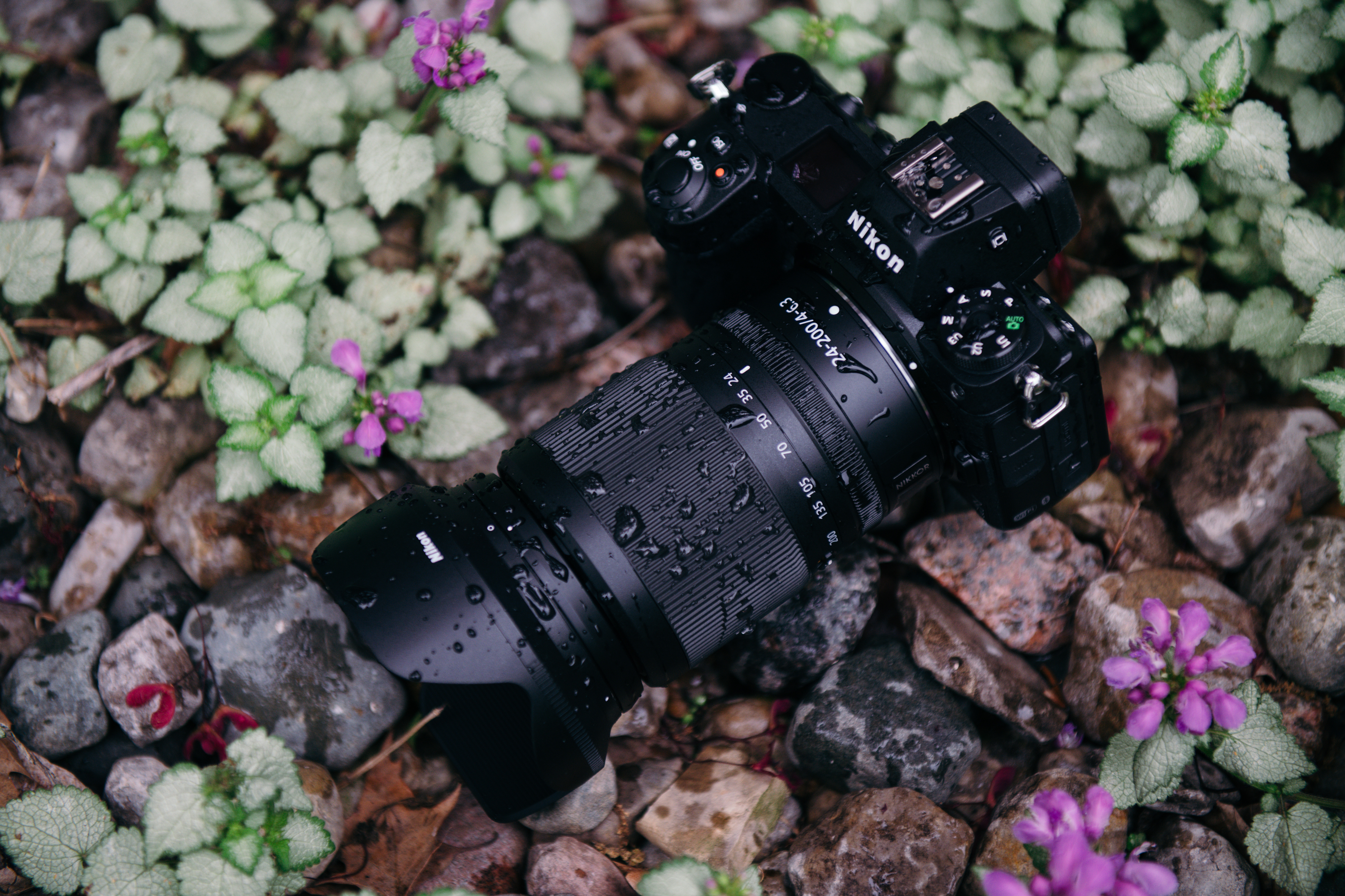 Fantastic Zoom, Limited Distortion: Nikon Z 24-200mm F4-6.3 VR Review