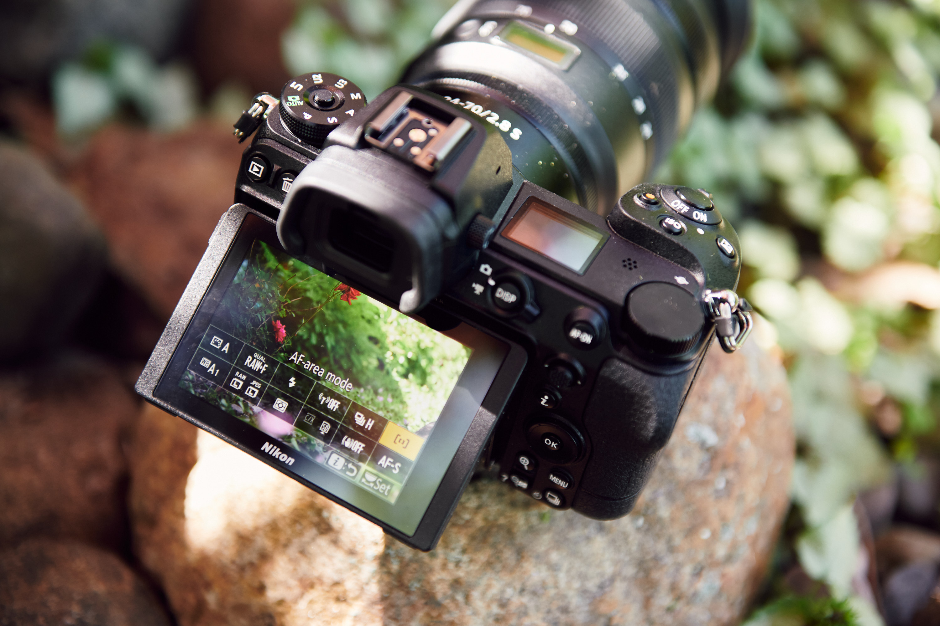 Time for Another Download? It’s Raining Nikon Z7 II Firmware