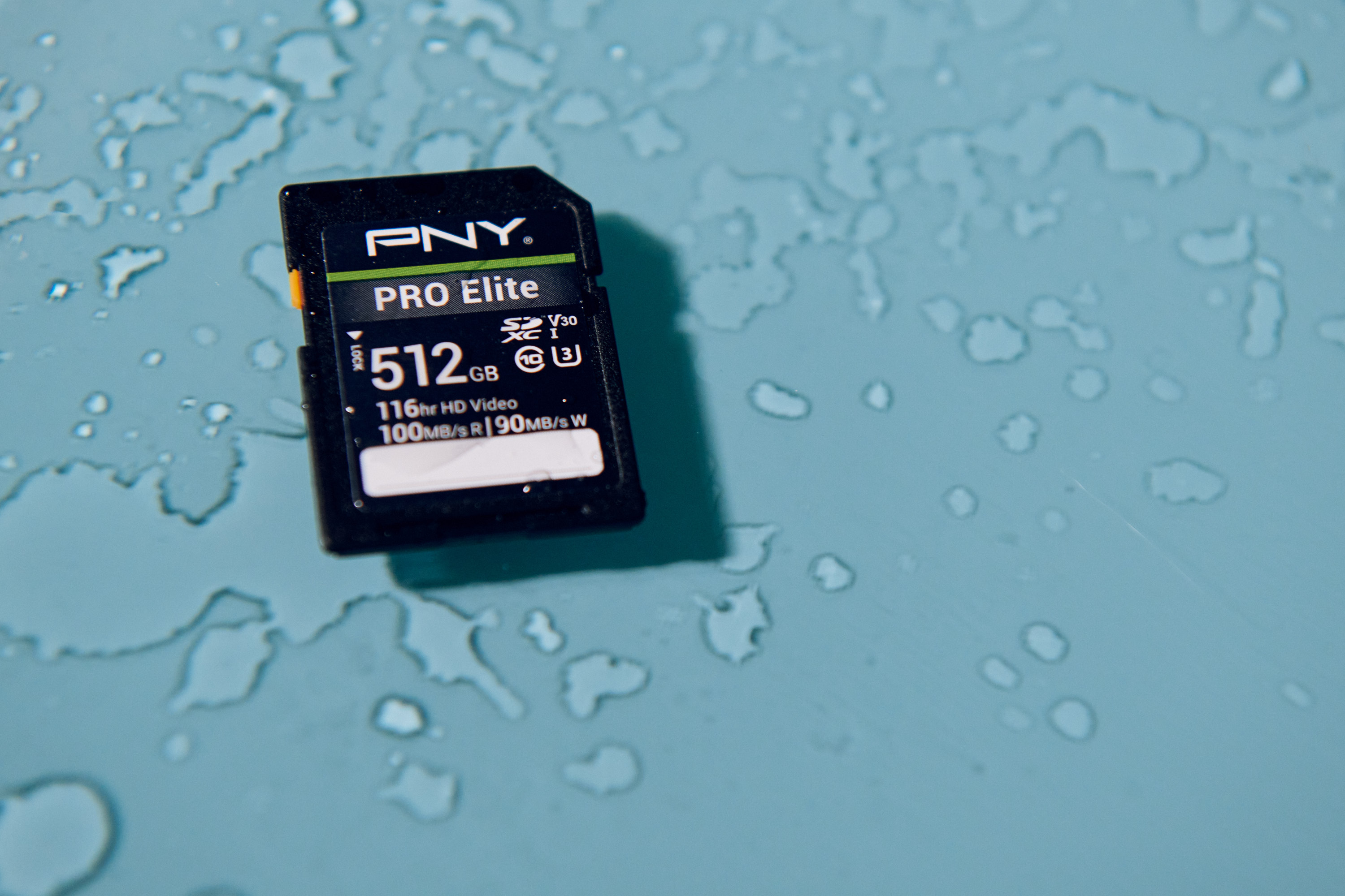 Hillary Grigonis The Phoblographer PNY SD Cards review 1581