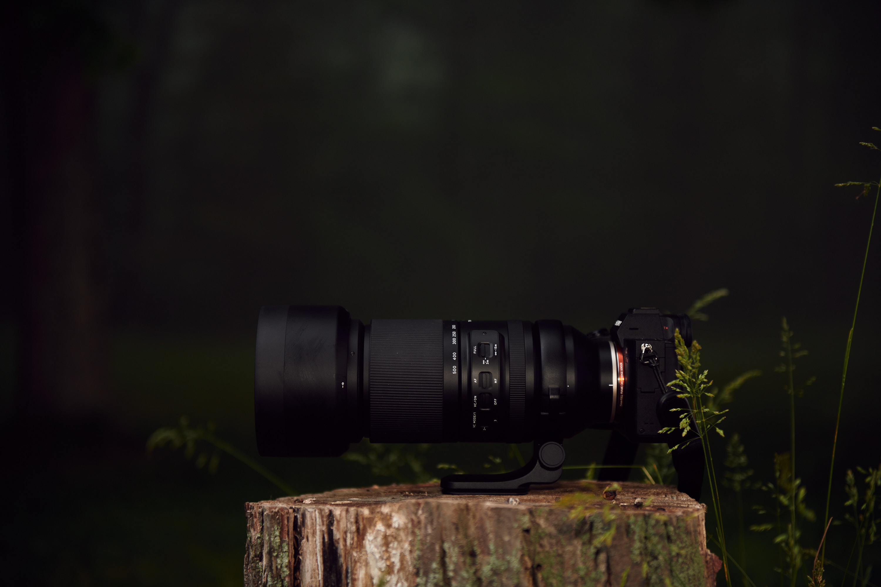 Sony Photographers: Get This Great Lens for Wildlife