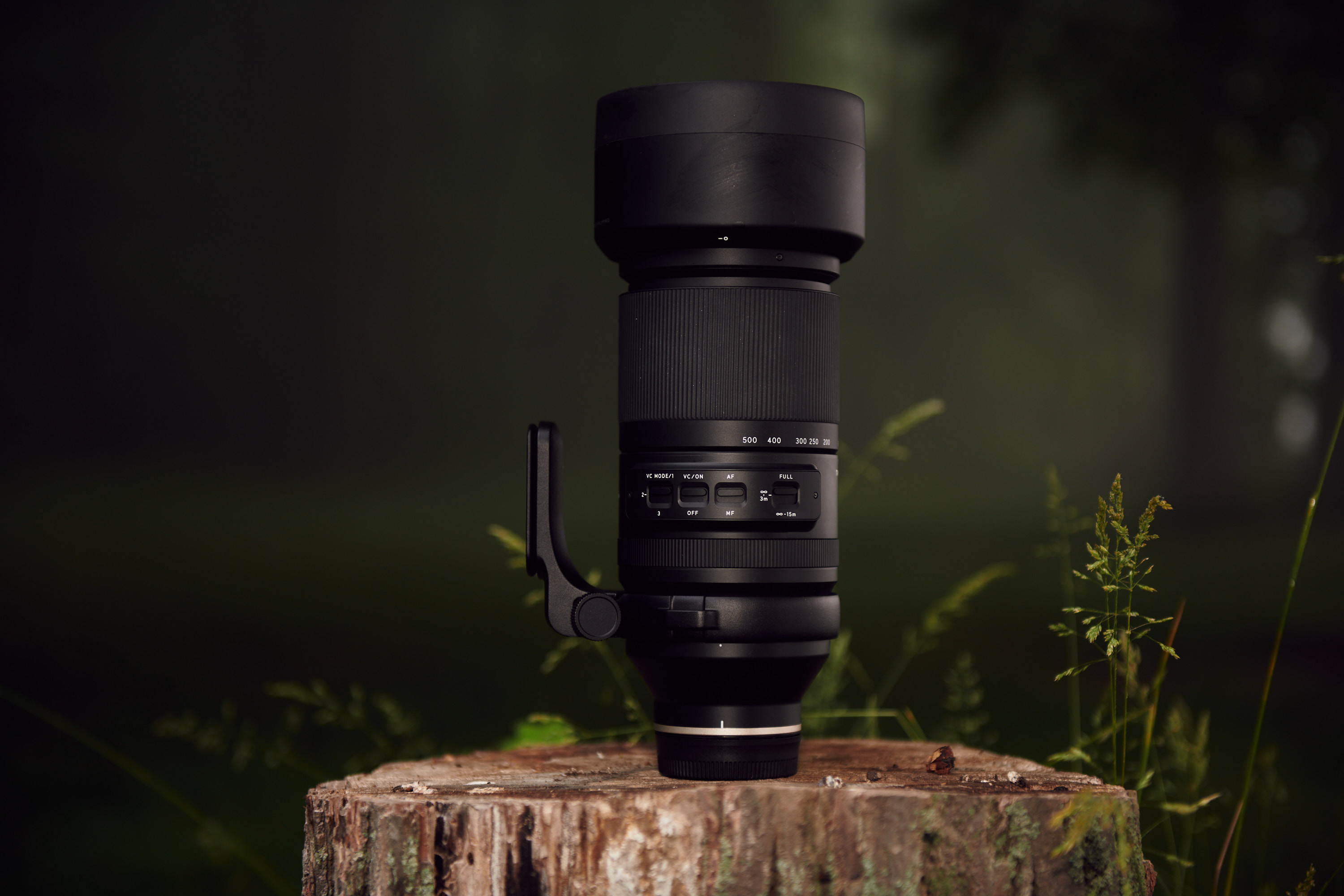 Remarkable Zoom, Handheld: Tamron 150-500mm F5-6.7 Di III Review