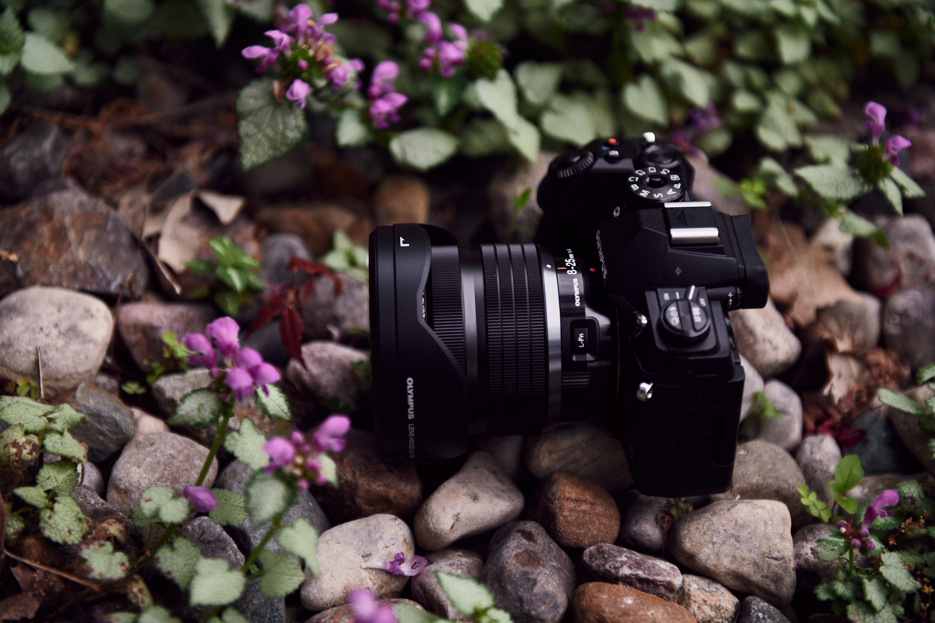 5 Lightweight Lenses for Landscape Photography Every Photographer Will Love
