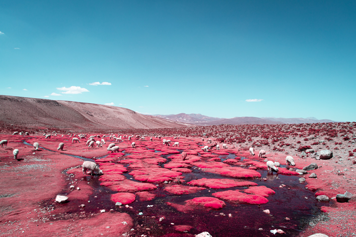Paolo Pettigiani Captures the Magic of Peru and Bolivia in Infrared