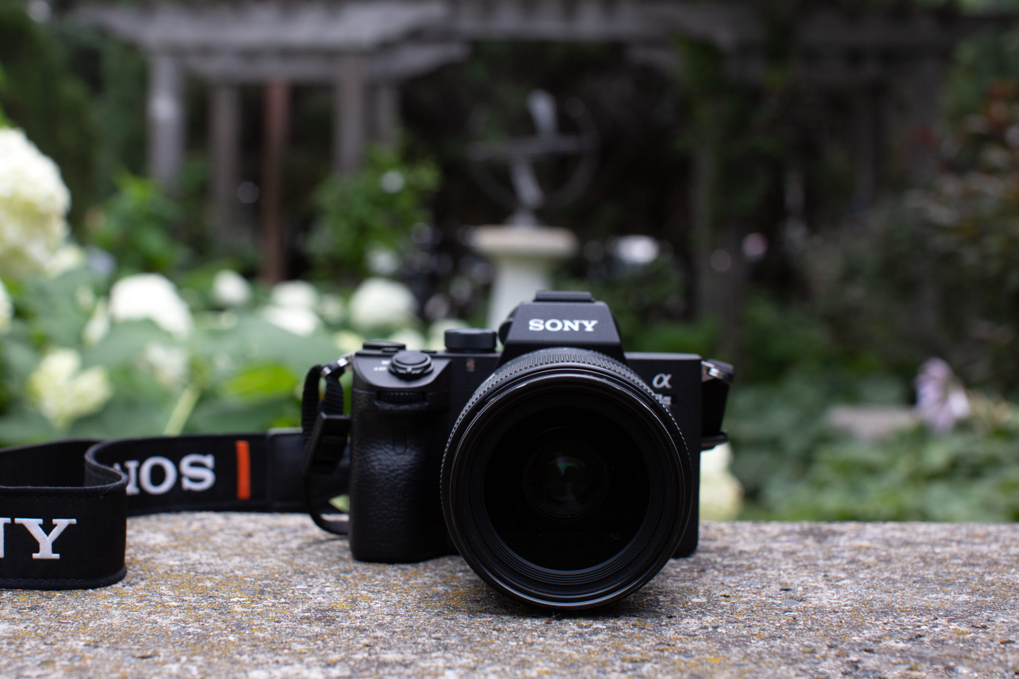 Beautiful, Sharp, And A Bit Boring. Sigma 35mm F1.4 Review