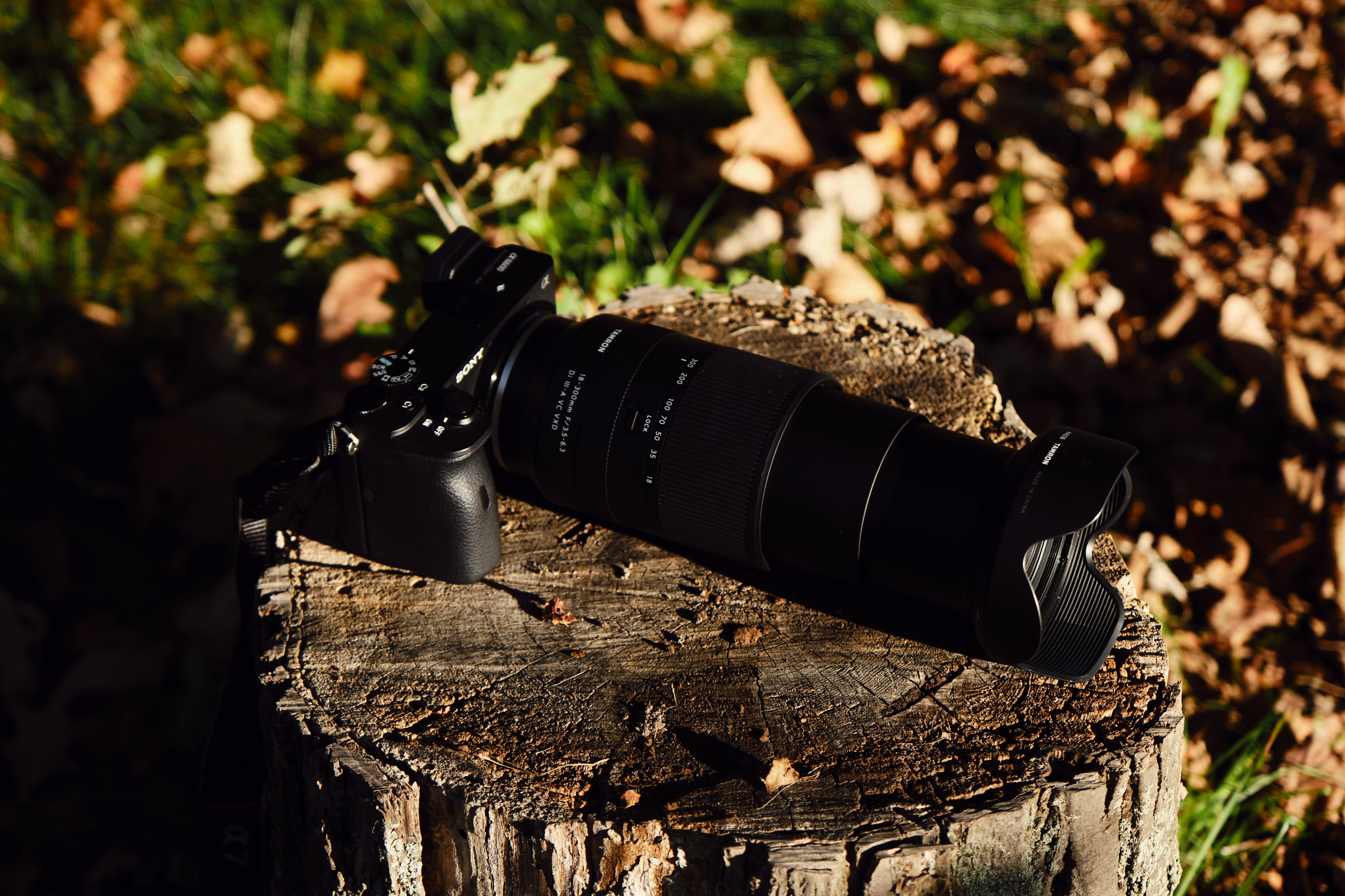 Hillary Grigonis The Phoblographer Tamron 18-300mm review 2116