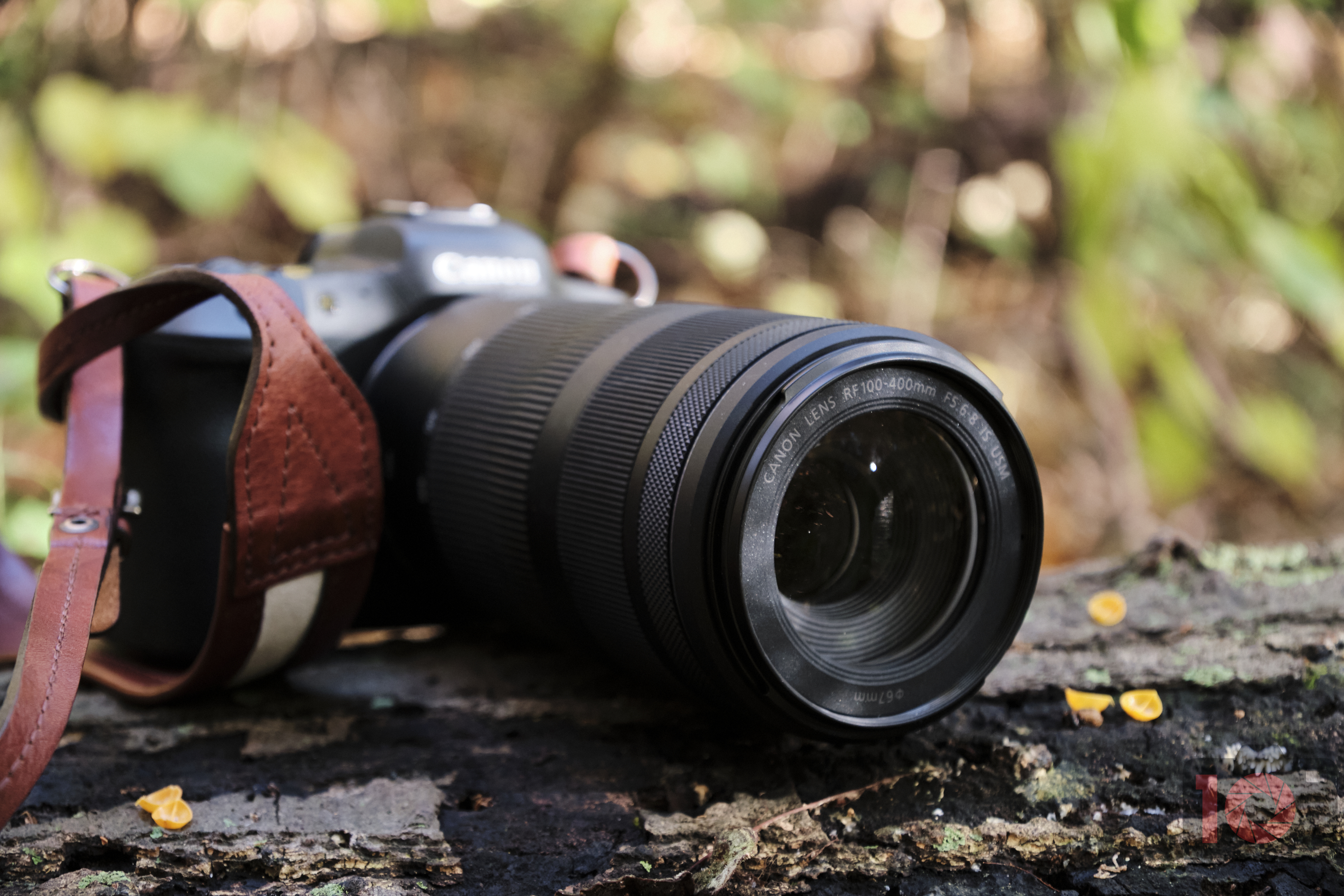 Is a $2,899 Lens Much Better Than a $649 Lens?