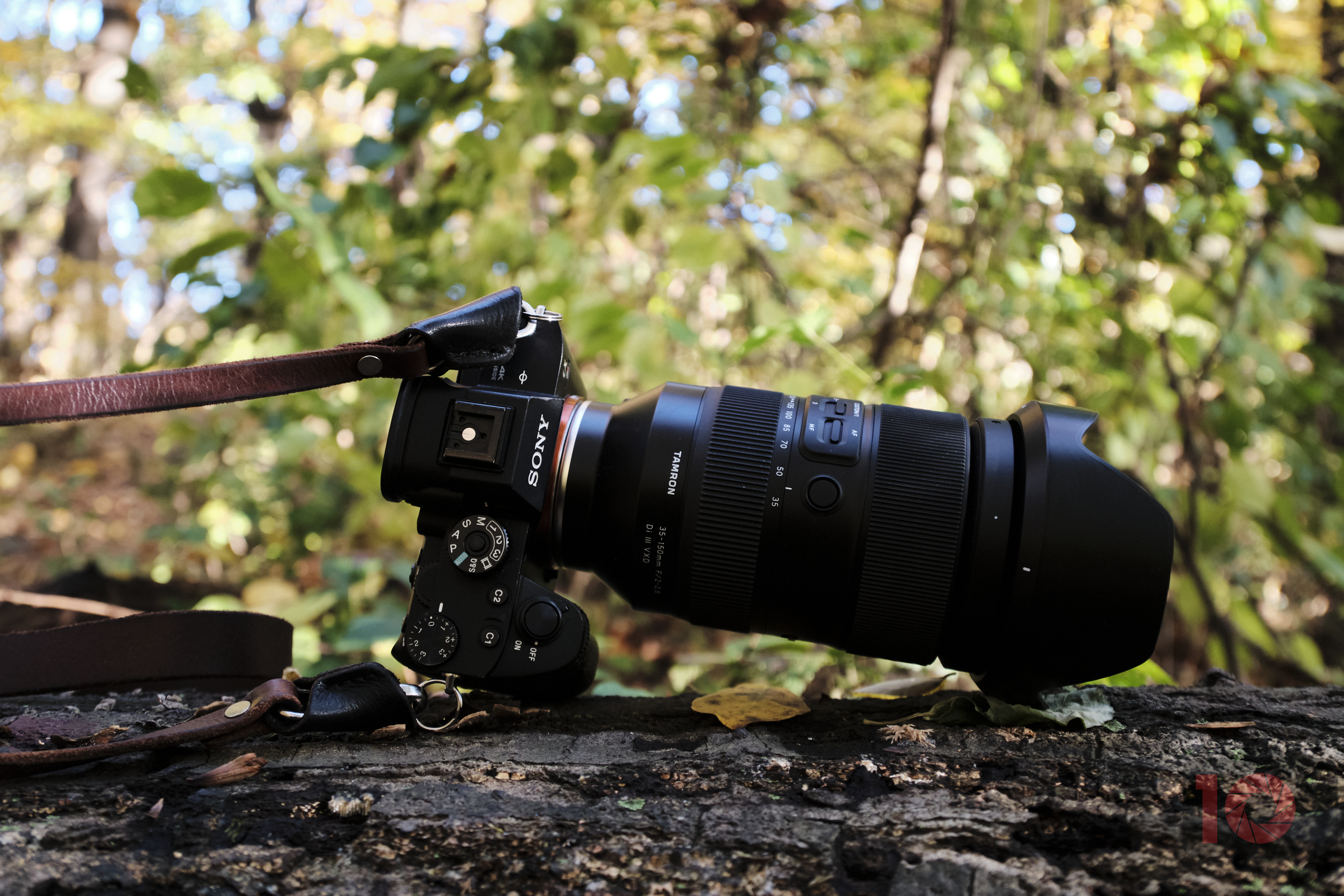 4 Professional Zoom Lenses for Photographers on a Budget