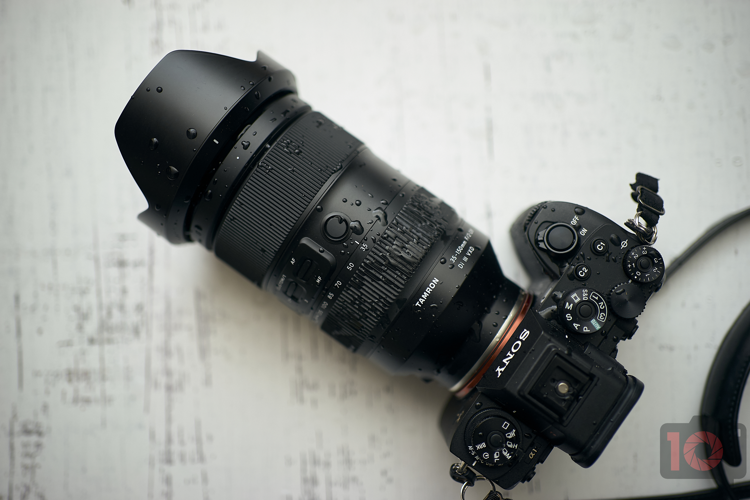 The Best Portrait Lenses for Sony E Mount Cameras We Love