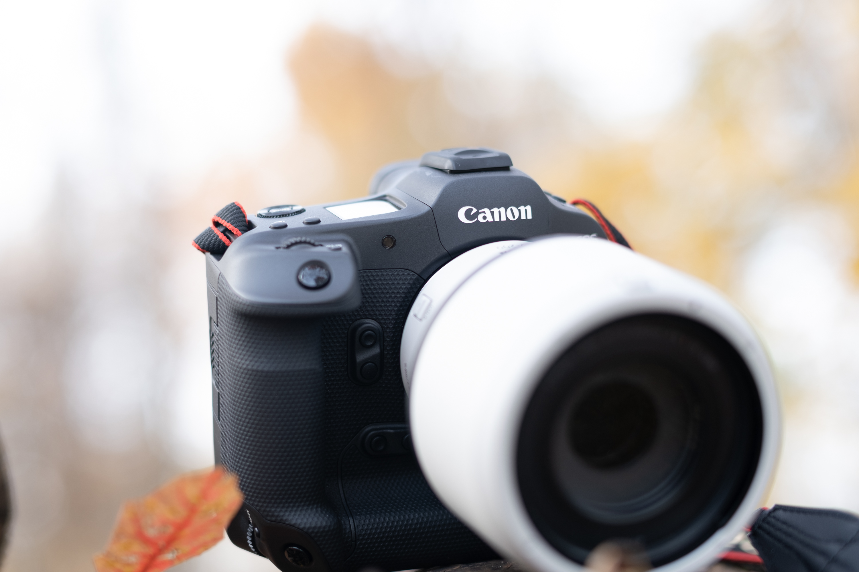 The Best Canon Cameras for Photojournalists