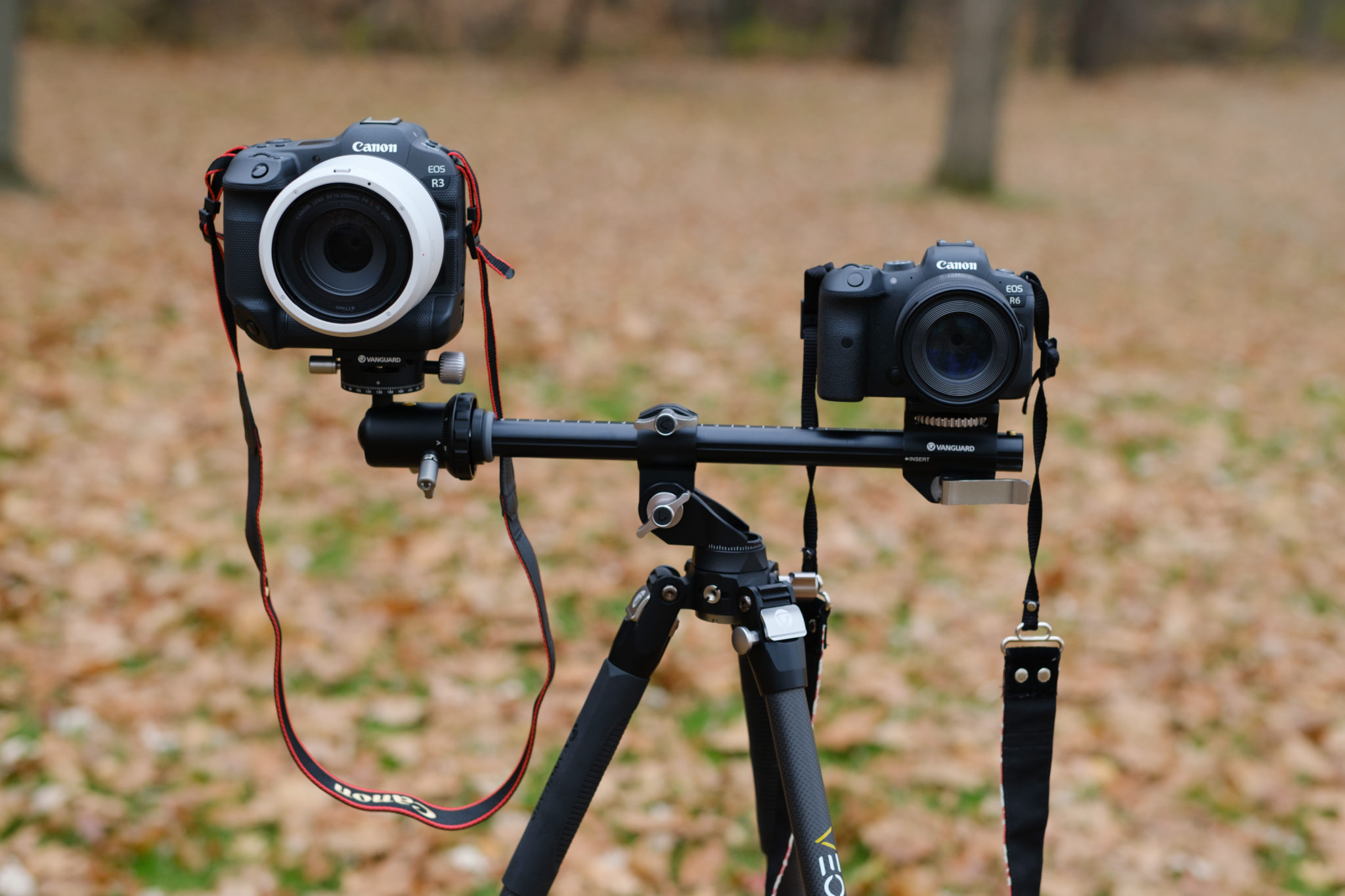 Versatile and Practical Vanguard Veo 3T+ 264CB Carbon Review