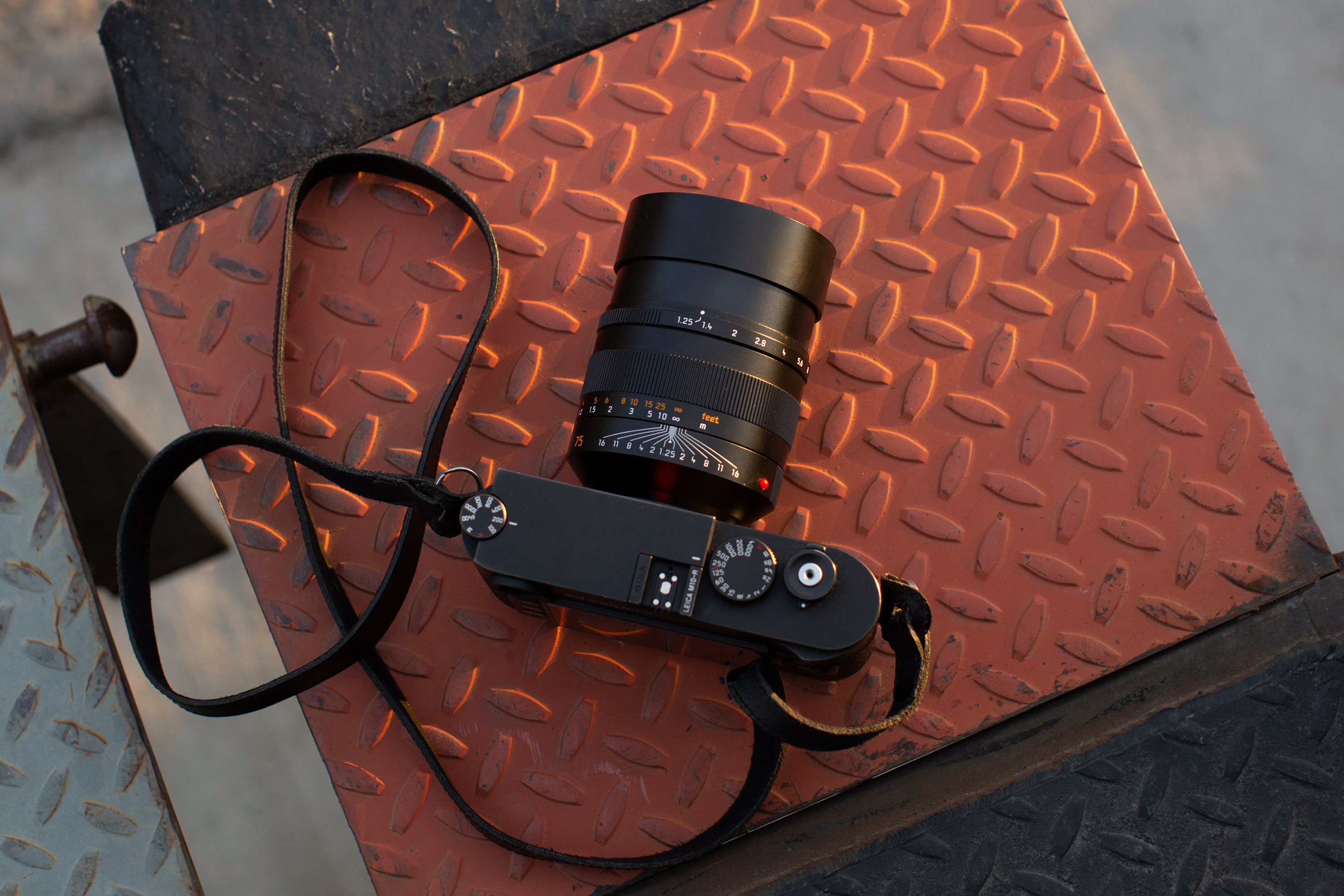 Beautiful Optics. Bokeh for Days. Leica 75mm F1.25 Noctilux Review