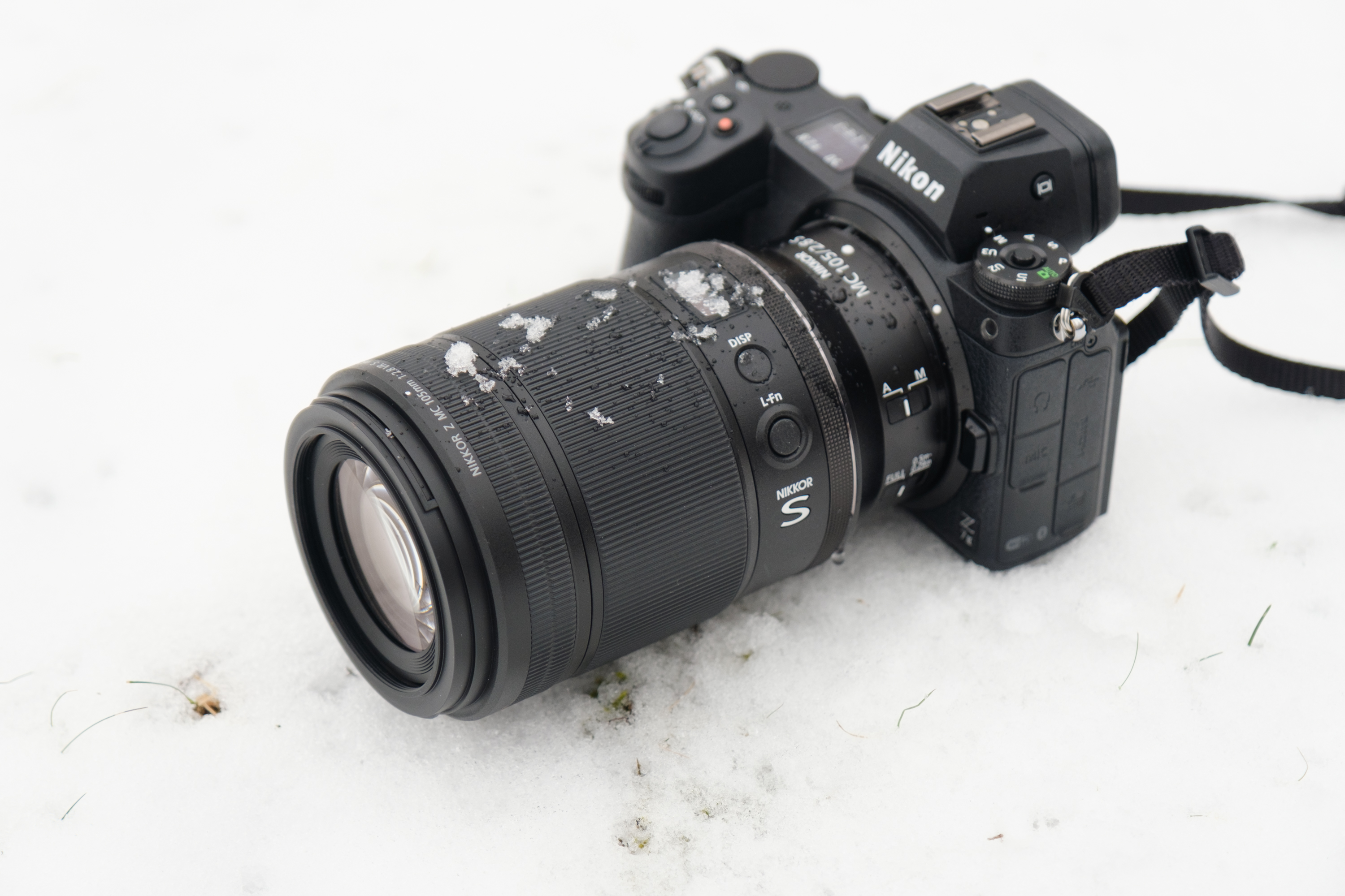 Superior Sharpness, Surprisingly Close: Nikon Z 105mm Macro Review