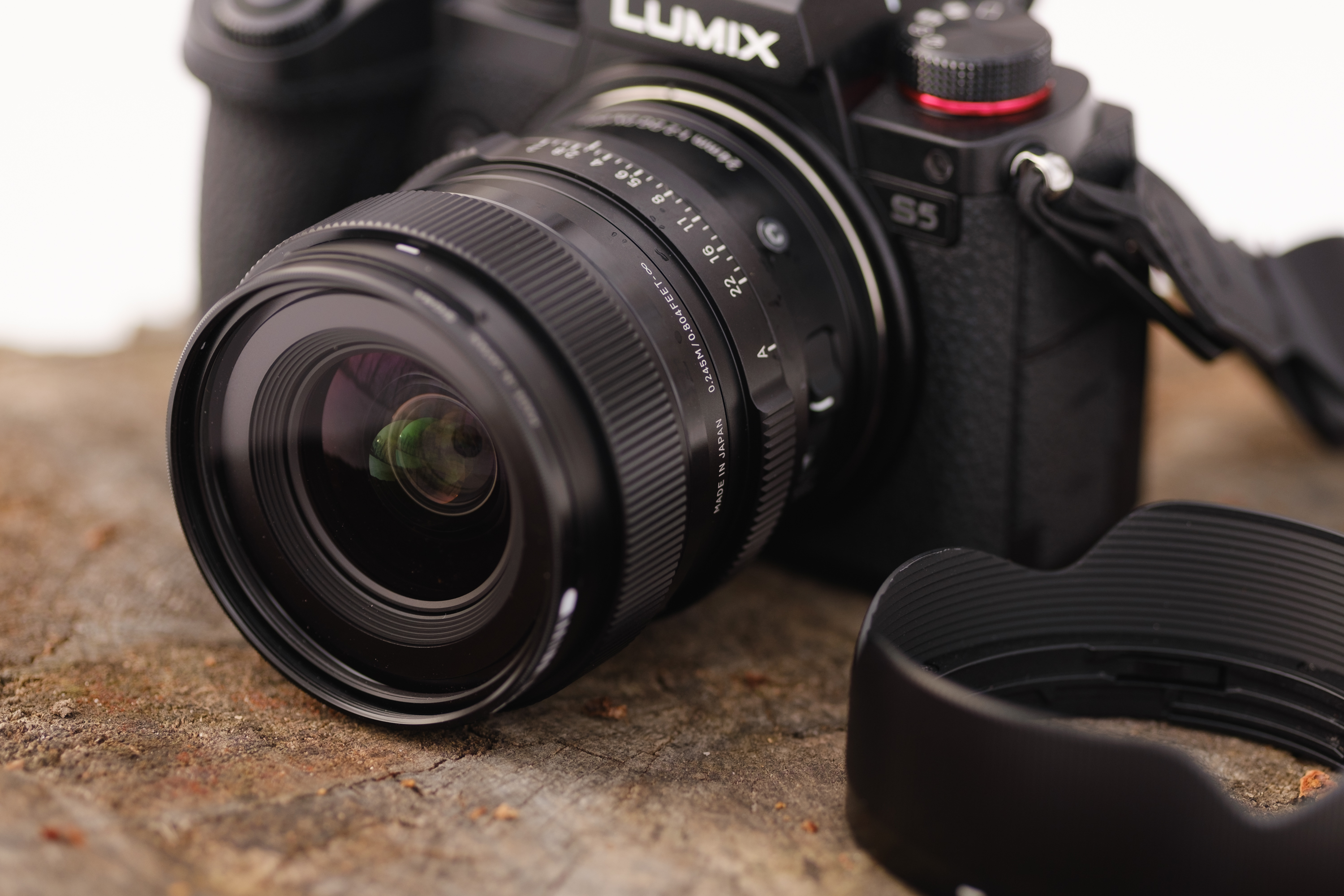 Promising Distortion Correction: Sigma 24mm f2 DG DN Review