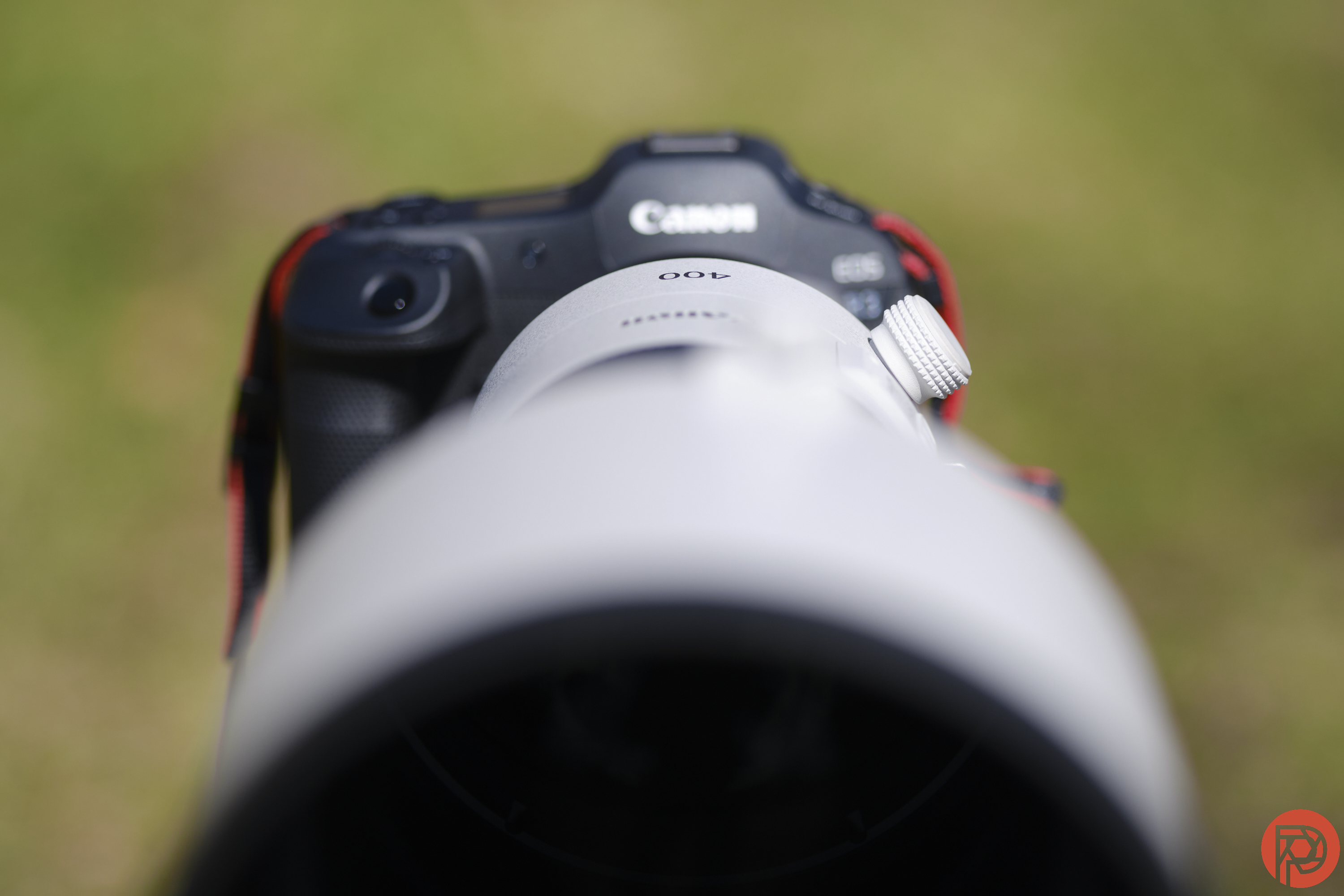 Massive Body, Remarkable Photos: Canon RF 400mm F2.8 Review