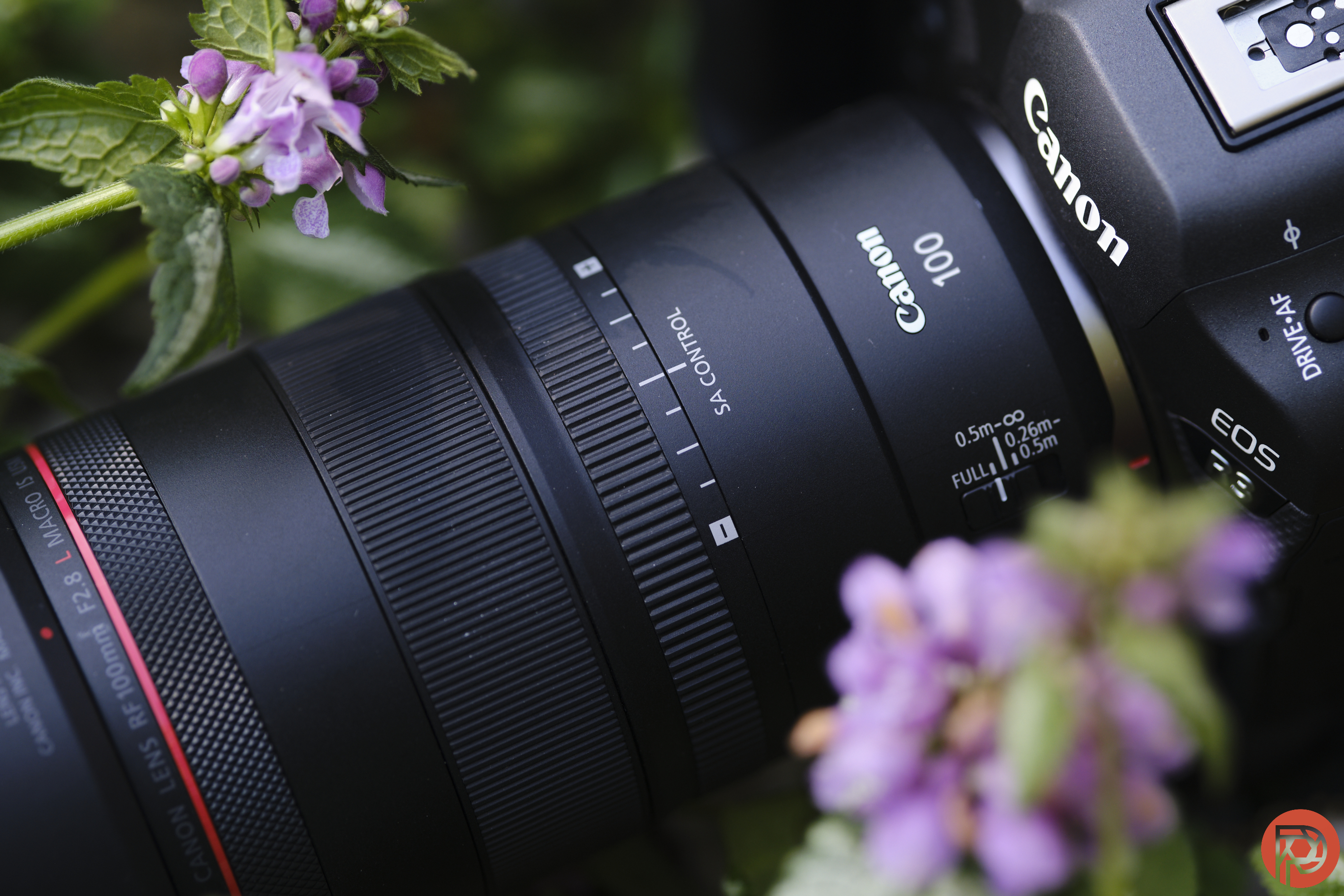 Canon RF 100mm Macro Review
