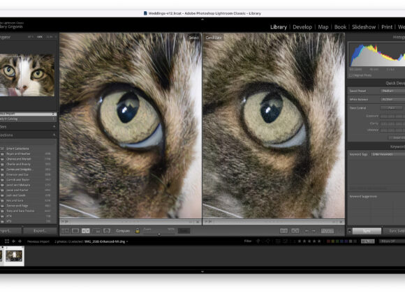 Adobe's denoise comparison. Credit: Screenshot