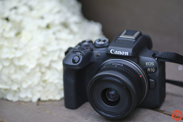 Bought Your First Camera? The Best Tips in a 3 Minute Read
