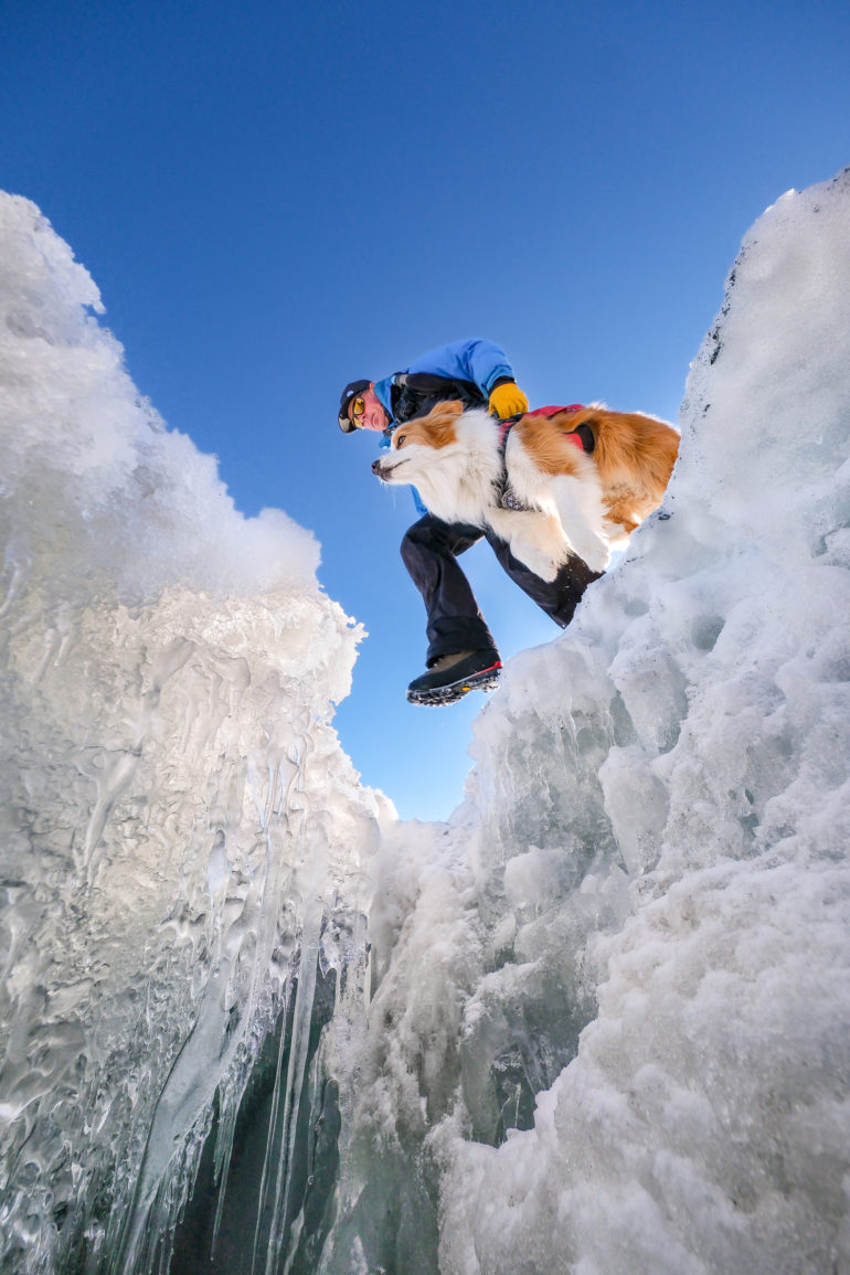 Avalanche Dogs Project