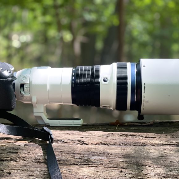 Chris Gampat The Phoblographer Olympus 150-400mm 4.5 PRO 1.4x TC review product photos3