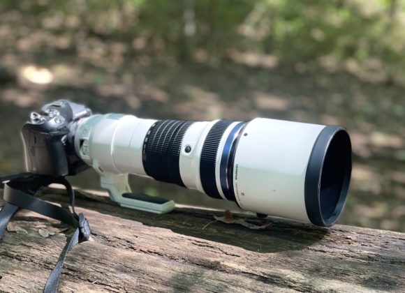 Chris Gampat The Phoblographer Olympus 150-400mm 4.5 PRO 1.4x TC review product photos4