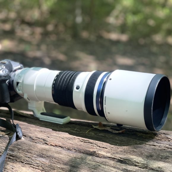 Chris Gampat The Phoblographer Olympus 150-400mm 4.5 PRO 1.4x TC review product photos4