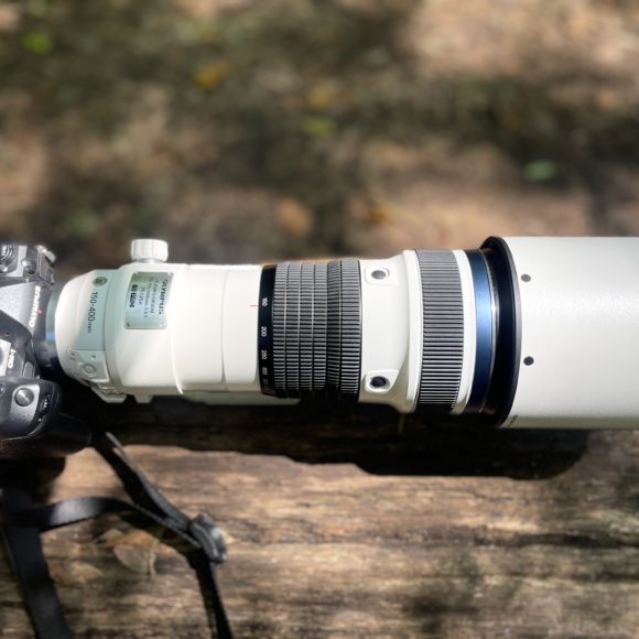 Chris Gampat The Phoblographer Olympus 150-400mm 4.5 PRO 1.4x TC review product photos6