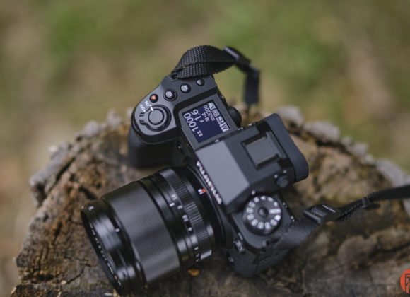 A black camera with a lens sits on a tree stump, surrounded by blurred greenery.