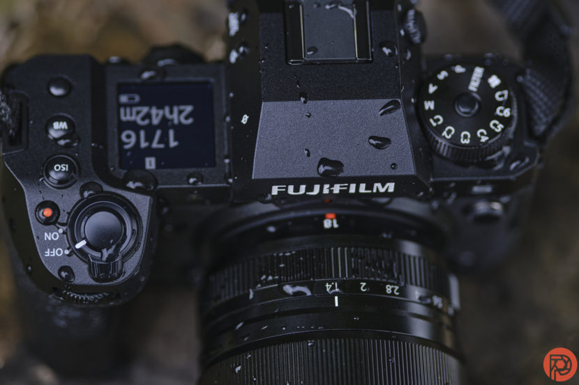 Hillary Grigonis The Phoblographer Fujifilm X-H2s review DSCF9356