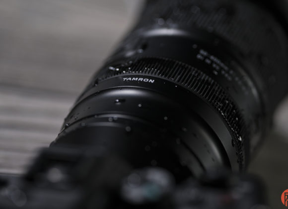 Hillary Grigonis The Phoblographer Tamron 50-400mm review DSCF0353