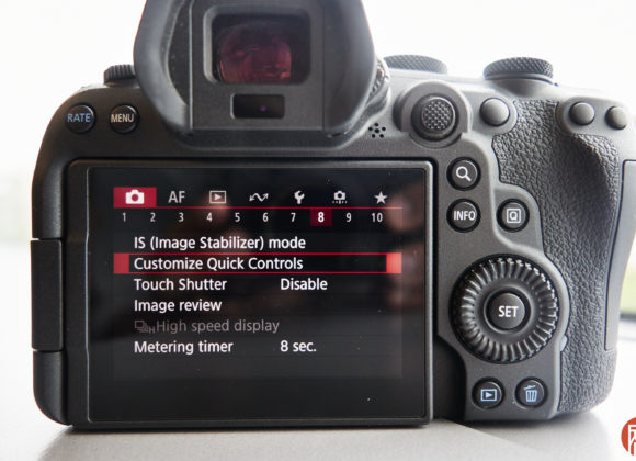 Chris Gampat The Phoblographer Canon EOS R6 Mk II first impressions 2.81-400s800