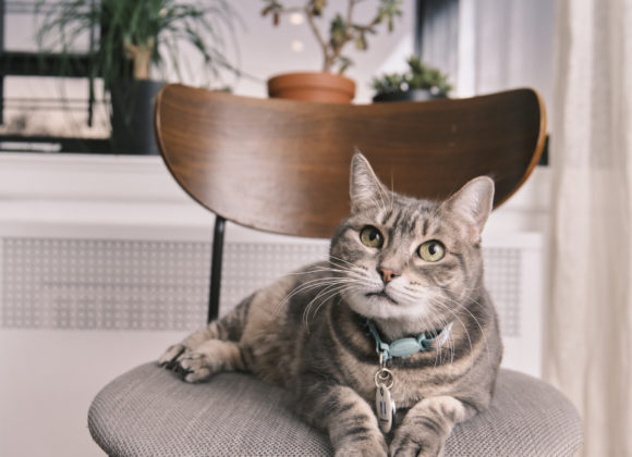 Chris Gampat The Phoblographer Tamron 17-70mm f2.8 with Fujifilm XH2 sponsored portrait 2.81-125s400 1