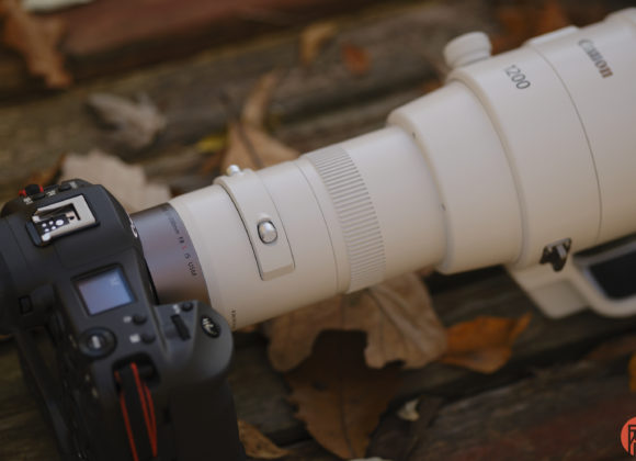 Hillary Grigonis The Phoblographer Canon RF 1200mm f8L review DSCF1003