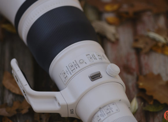 Hillary Grigonis The Phoblographer Canon RF 1200mm f8L review DSCF1030