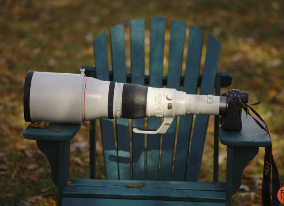 Hillary Grigonis The Phoblographer Canon RF 1200mm f8L review DSCF1038