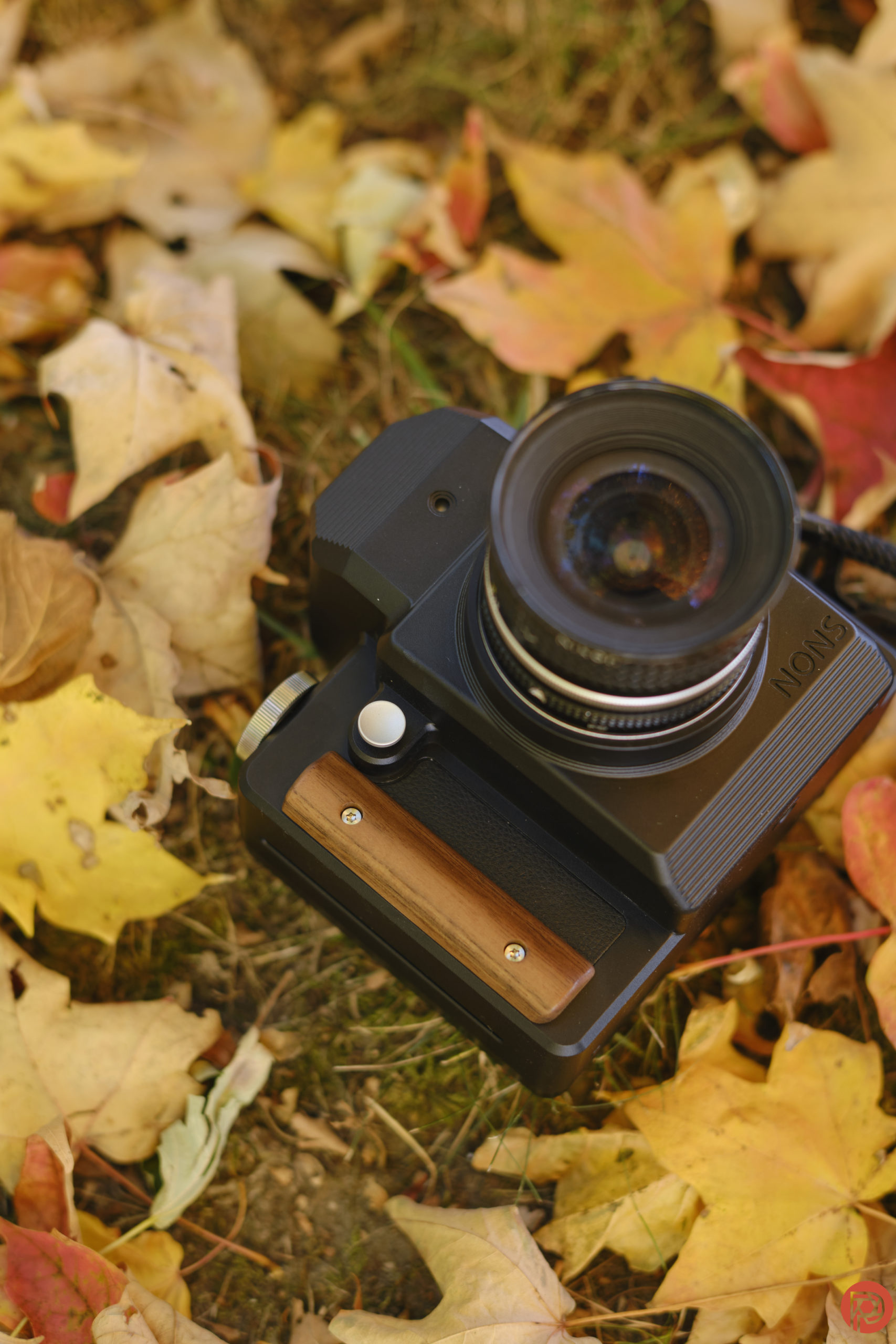 The 5 Best Instant Film Cameras with Manual Control