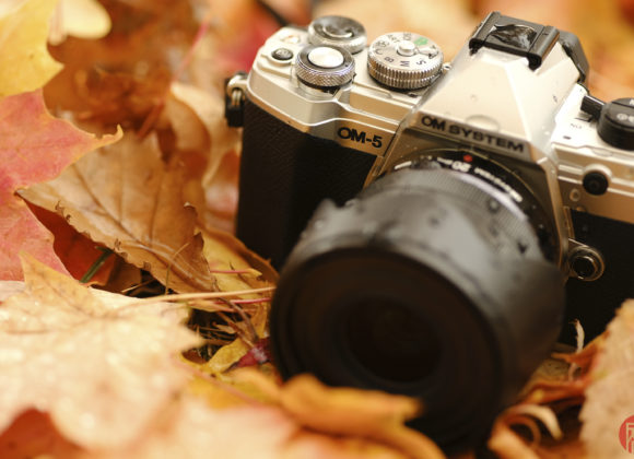 Hillary Grigonis The Phoblographer OM System OM-5 review DSCF6470