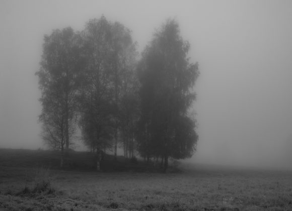 Ana Gómez de León6