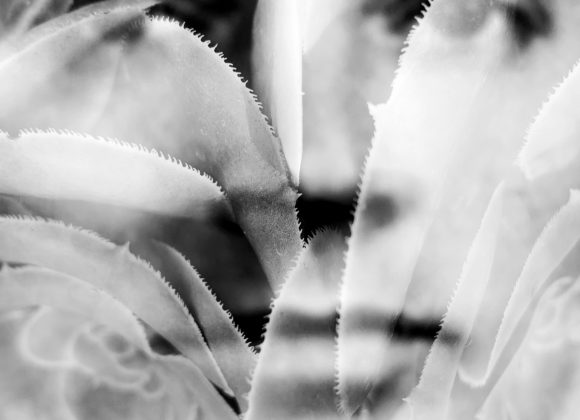 06b_Memories_LauraVisigalli