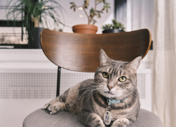 Chris Gampat Mattie and Soren 28