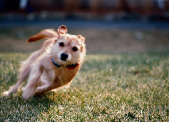 N90s Kodak Ektar 100 ES008