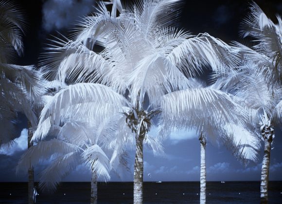 Cham Phan Infrared Photography5