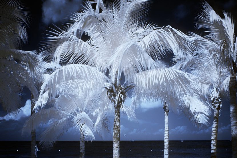 Photographer Cham Phan Lost His Vision. But That Didn't Stop Him Cham Phan Infrared Photography5