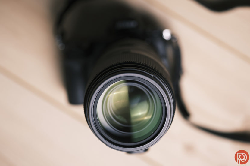 Hillary Grigonis The Phoblographer Nikon Z 100-400mm f4.5-5.6 VR S review DSCF9552