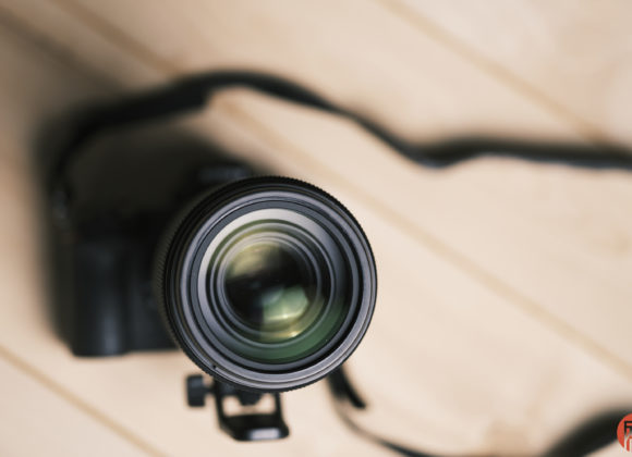 Hillary Grigonis The Phoblographer Nikon Z 100-400mm f4.5-5.6 VR S review DSCF9555