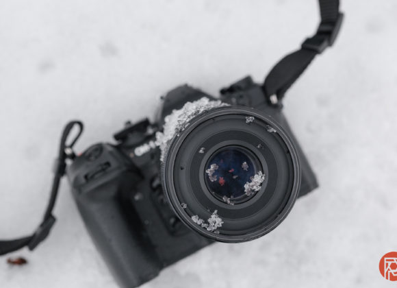 Hillary Grigonis The Phoblographer OM System 90,, f3.5 Macro review-9