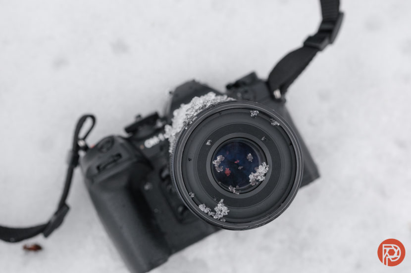 Hillary Grigonis The Phoblographer OM System 90,, f3.5 Macro review-9