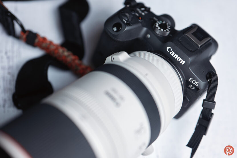 Close-up of a Canon EOS R7 camera with a large white telephoto lens attached.
