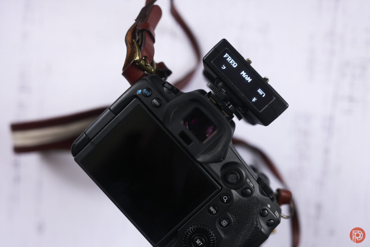 Paul C Buff Celestial Review