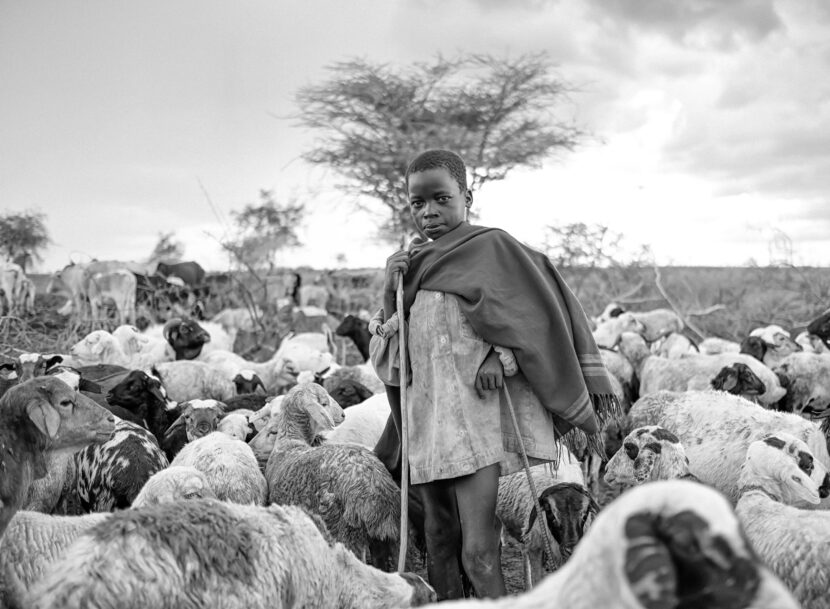 Derek Schrock for the Phoblographer1