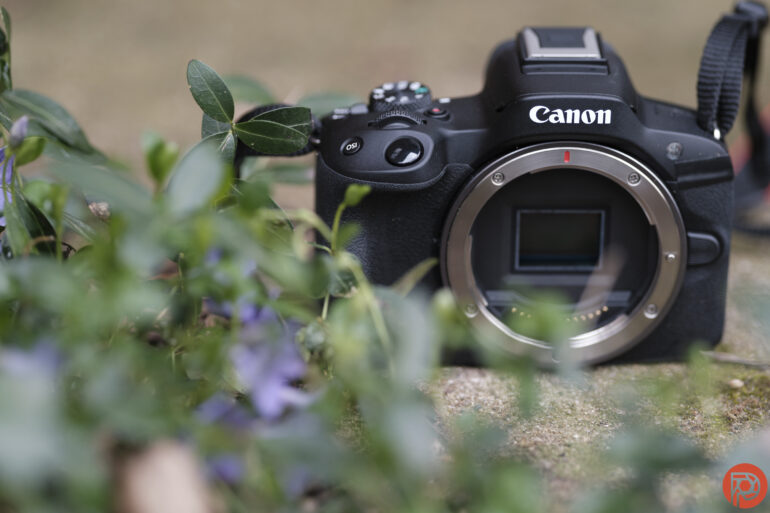 Canon R50  Vertical creations - Outdoorphoto Blog